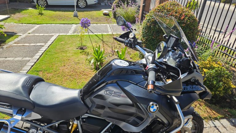 IMG 0008 768x432