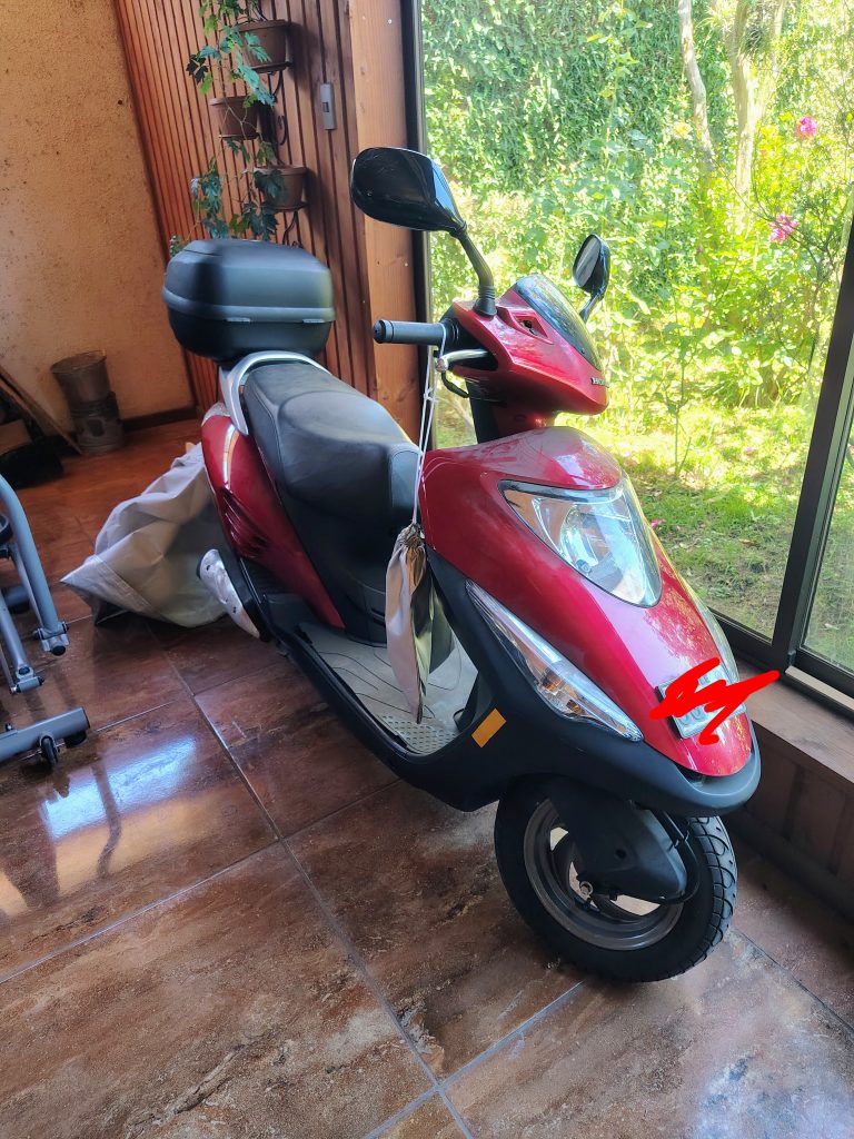 IMG 20260212 130220878 HDR AE 1 768x1024