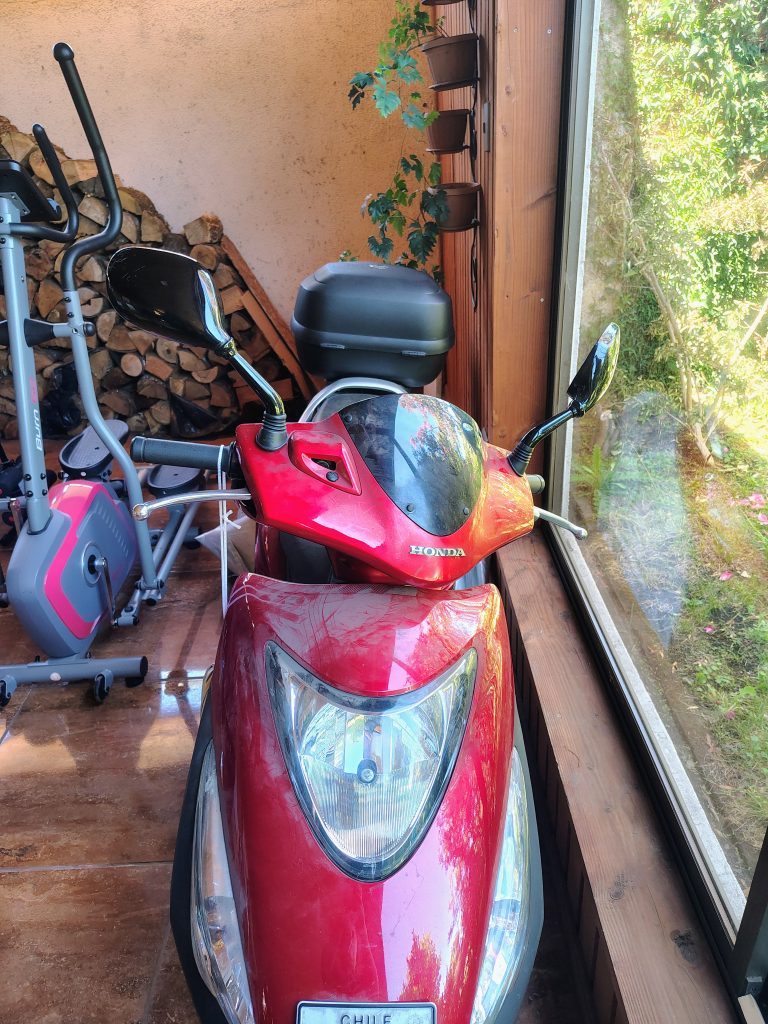 IMG 20260212 130225693 HDR AE 768x1024