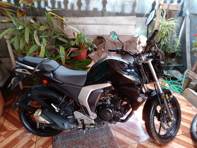 WhatsApp Image 2025 12 31 at 9.29.08 PM 1 768x576