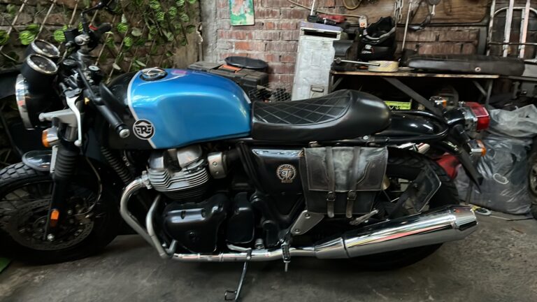 IMG 0165 768x432