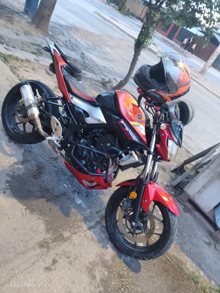 WhatsApp Image 2026 10 05 at 4.31.05 PM 1 768x1021